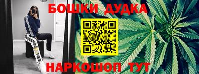 шишки Новокубанск