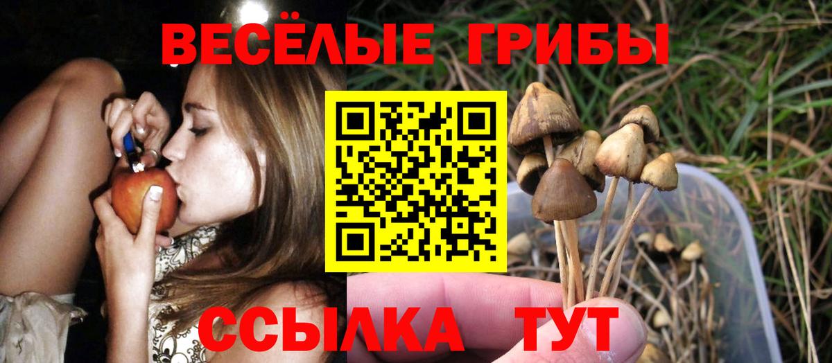 Владикавказ  Псилоцибиновые грибы ЛСД  Вход с VPN 